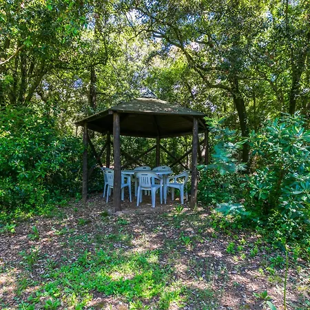 Апартаменты Mare By Interhome Розиньяно-Мариттимо